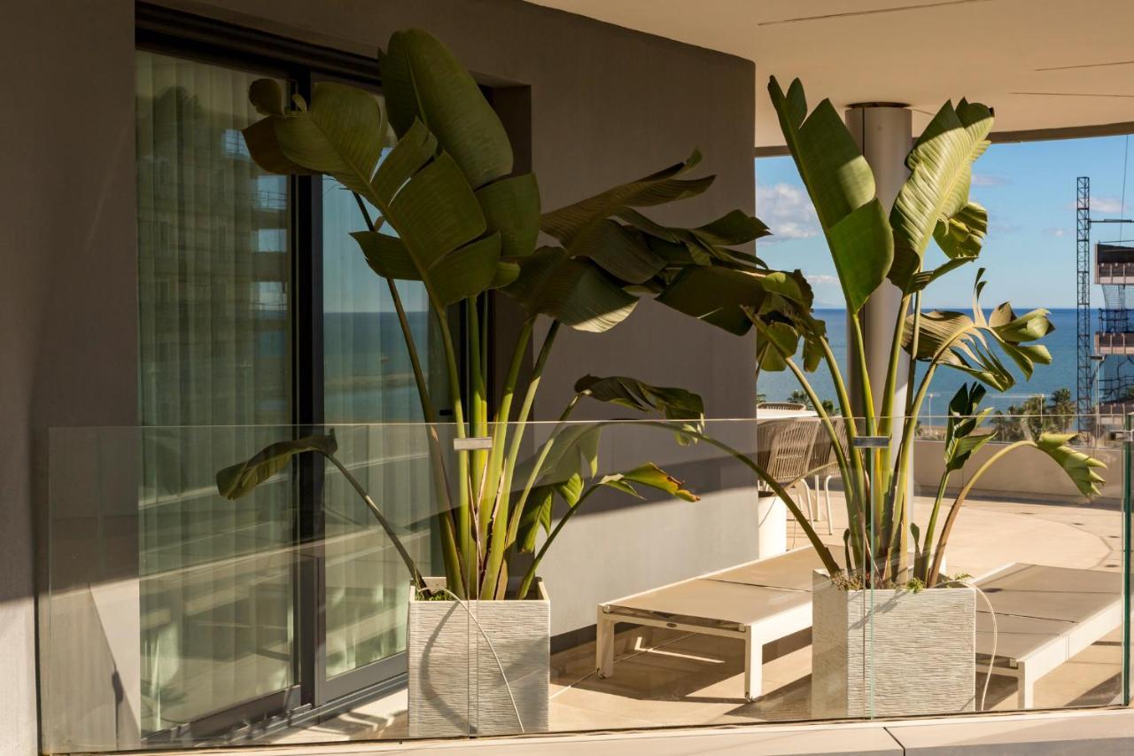 Apartamento Malaga Halia Dış mekan fotoğraf
